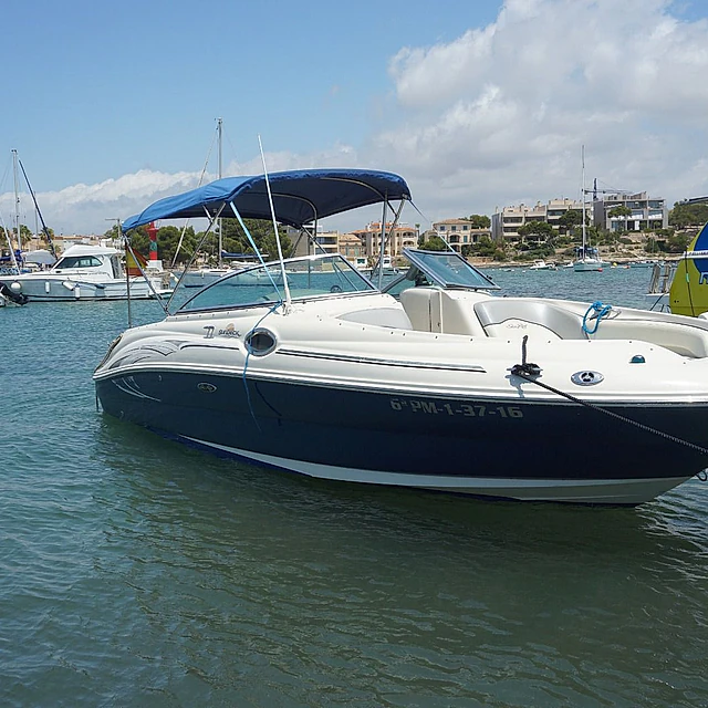 Marbella Ocean Boats searay 260